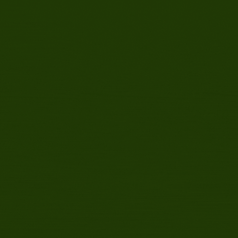 G10 – TLE (L. TAN)